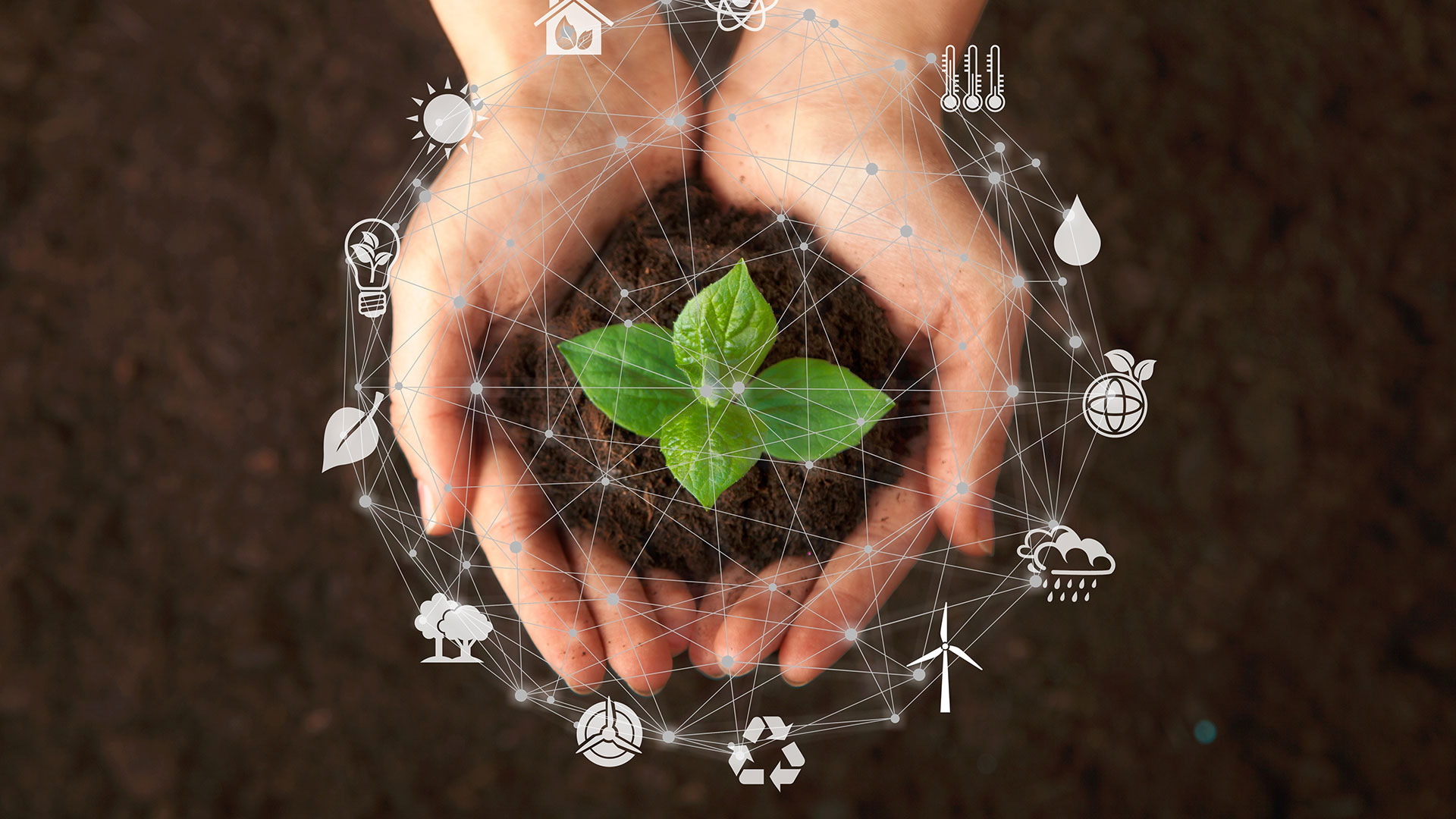 Environmental Responsibility